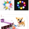 LED Dog Night Colour Cat Pet Collar Luminous Light Buckle