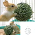 8cm Sphere Feed Dispenser Hanging Ball Guinea Pig Hamster Rabbit Pet Toy?