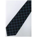 JTI EDB17 Blue Stripe Neck Tie