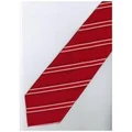 JTI ER14 Red White Stripe Neck Tie