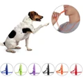 Dog Whistle to Stop Barking Ultrasonic Patrol Sound With Rope Pet Accessories