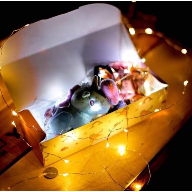 Gift surprise Unicorn