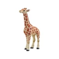 Takara Tomy Ania AS-12 Reticulatad Giraffe - Child