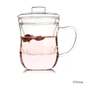 12 ounce heat-resistant glass teapot tea set with lid and infuser