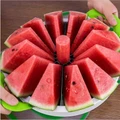 Fruit Slicer Melon Watermelon Slice Practical Fruit Kitchen Tool Multi Function