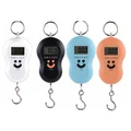 Portable electronic scale portable fishing express parcel scale hook luggage