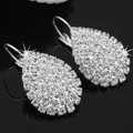 1 Pair Womens Rhinestone Crystal Teardrop Leverback Earring Jewelry Gifts