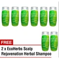 EcoHerbs Value Pack Shampoo Treatment for Hair Loss, Hair Regrowth & Dandruff