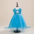Frozen Dress Elsa Princess Dress Summer girl baby jacket