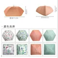 Foldable Food Cover Dustproof, FlyProof