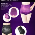 Sexy Lace High Waist Panty ? 4 Colours