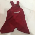 Second hand dog clothes (new)