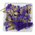 Forget Me Not Tea (calm nerves and promotes restful sleep) ????? (??) 50 g x 2s