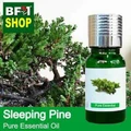 BF1 Pure Essential Oil (EO) - Pine - Sleeping Pine Essential Oil - 10ml