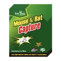 [Ready Stock] (M-C)Super Strong Sticky Glue Mouse &Rat Capture/Non Toxic Household Products