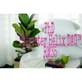 Bantal hotel DAG�..New product Polyester Helix DAG� "PHD"