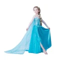 Kids Girls Dresses Anna Frozen dress costume