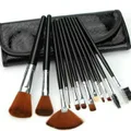 12 Pieces Make Up Brushes Set With PU Case Bag ??12????????