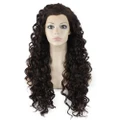 Long Curly Brown Highlight Heat Friendly Fiber Hair Synthetic Hair Wig