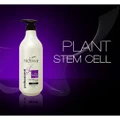Nichiwa Salon Collection Plant Stem Cell + CoQ10 Hair Shampoo Rich & Smooth Hair