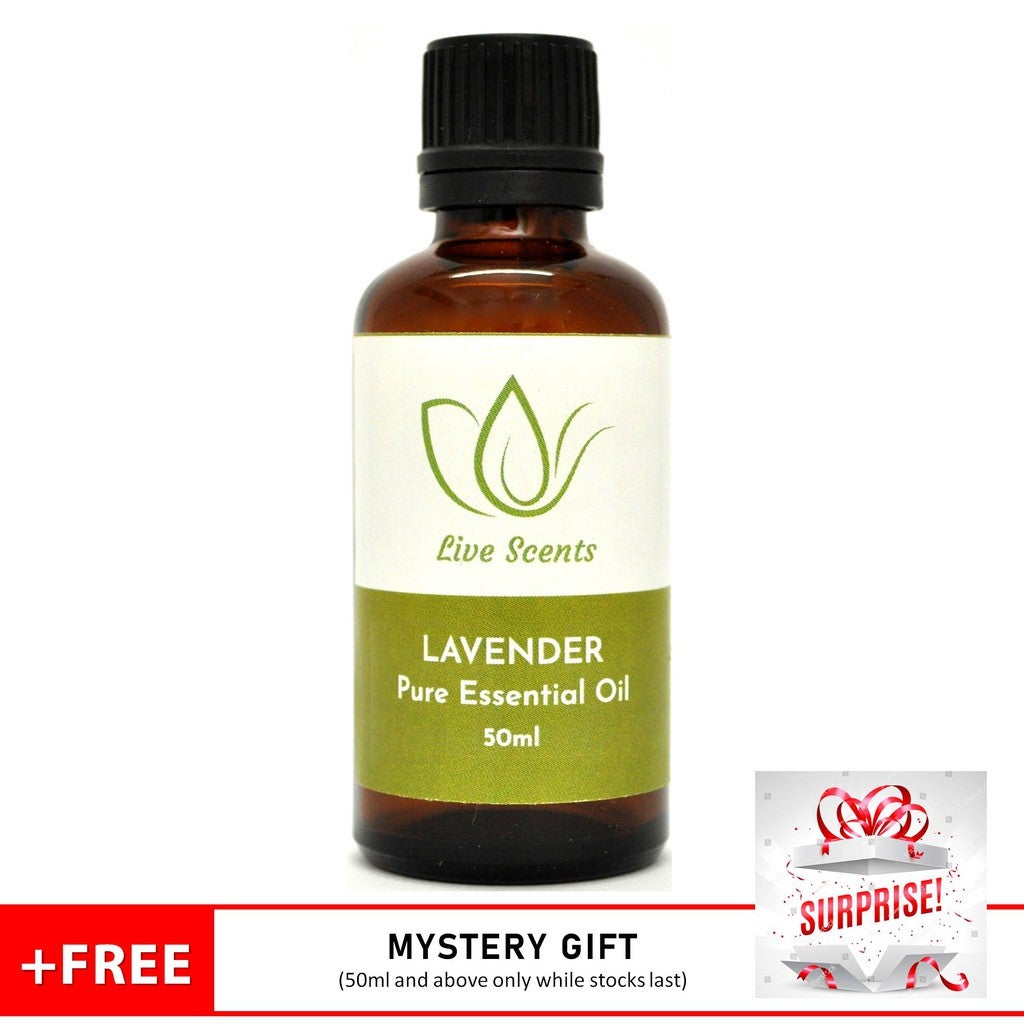 LIVE SCENTS Lavender Premium Essential Oil + GIFT