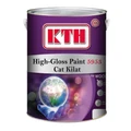 5 Liter KTH Gloss Paint 5 liter