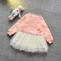 Long Sleeved Lacey Pink Rose Dress
