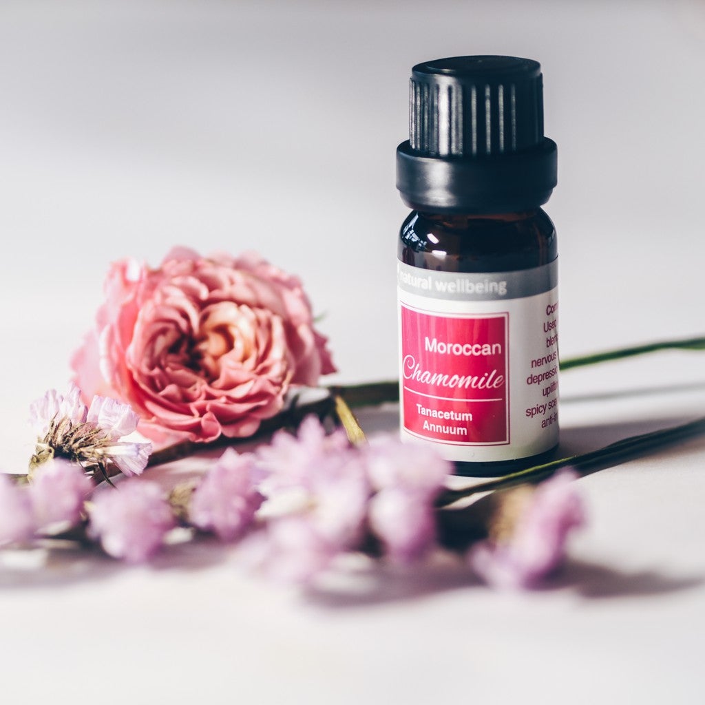 The Green Co. 100% Natural Moroccan Chamomile Pure Essential Oil