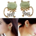 Rsc Cat Eye Stone Diamond Shiny Kitty South Korean Earrings