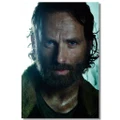 The Walking Dead Season 4 5 TWD Rick Cloth Poster Print 528