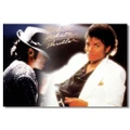 Michael Jackson MJ Wall Silk Cloth Poster Print 509Club