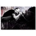 Linkin Park Art Wall Silk Cloth Poster Print 211