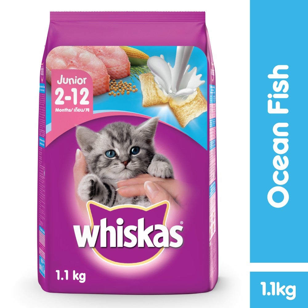 WHISKAS Dry Food Junior Ocean Fish (1.1kg x 3 Packs)