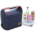 Insulated Lunch Cooler Bags - Rayhee Reusable Handbag Lunch Tote Bags for Women