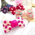 Dotted Hairclip