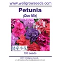 Flower Seeds: Petunia Duo Mix (100 seeds)