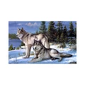 Vanker-25*35cm Wolfs Resin Diamond Cross Stitch Embroidery Painting Craft Home