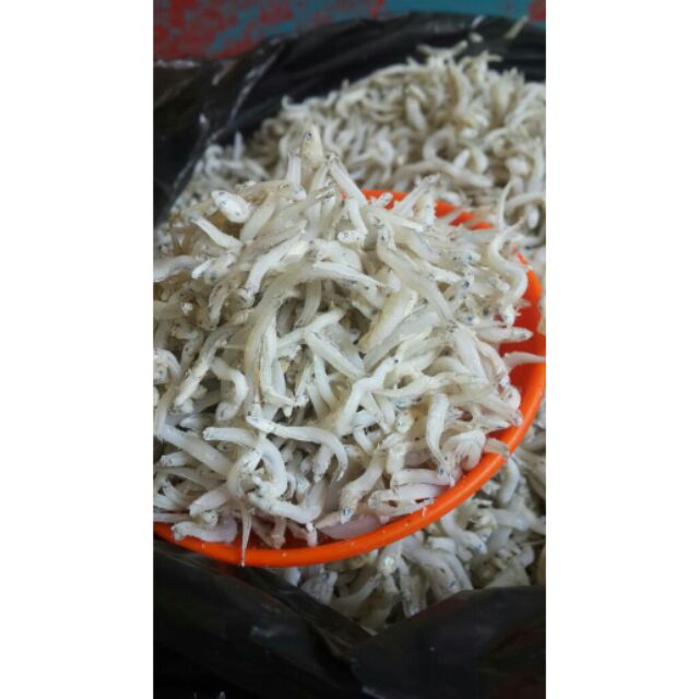 Ikan bilis mata biru sabah