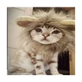 Pet Cat Dog Emulation Lion Hair Mane Ears Cap Autumn Lion Mane Wig