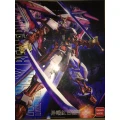 Daban 1/100 MG Astray Red Frame Kai Gundam