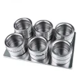 6 set Magnetic Spice Jar with Clear Lid Stainless Steel Air Tight Condiments tin