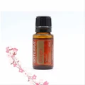 SPECIAL- doTERRA Ginger Therapeutic Grade Essential Oil 15ml