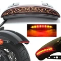 Brown Motorcycle LED Stop Brake License Plate Rear Tail Light Smoke Len Cruiser