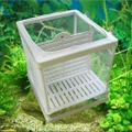 Breed Incubator Net Hang Fry Baby Fish Hatchery Isolation Box Aquarium
