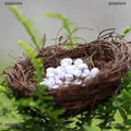 Readystock?Dollhouse Miniature Decorative Bird Nest With Eggs Mini Accessories