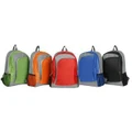 Stylish Casual Backpack (B250)