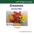 Flower Seeds: Cosmos Cosmic Mix (10 seeds)