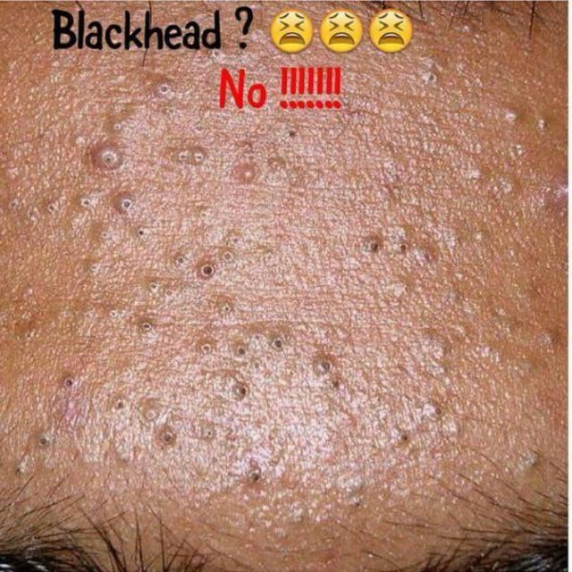 LD SECRET - JAMU MODEN