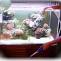 Fish Tank Vacuum Aquarium Manual Cleaner Tool Siphon Gravel Suction Pipe SRKT
