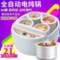 Automatic electric stew pot